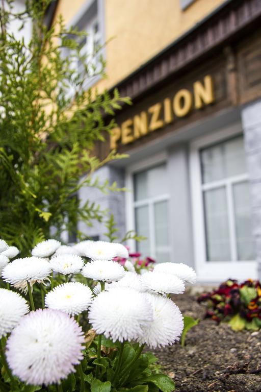 Penzion 43 Bor エクステリア 写真